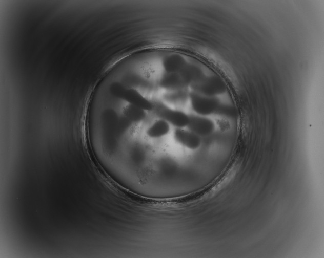 X0000087511417200705180946