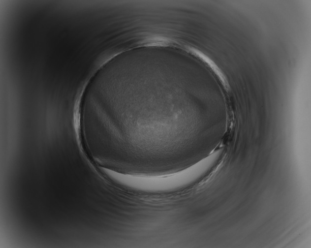 X0000087511418200705180946