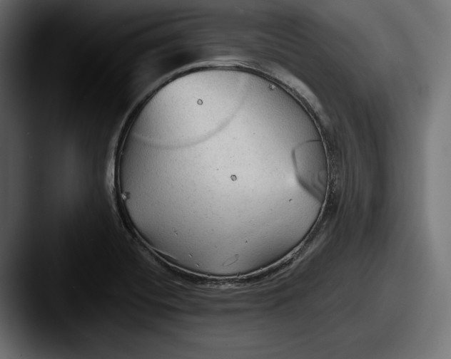 X0000087511420200705180946