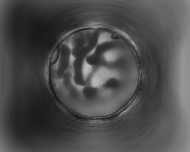 X0000087511421200705180946