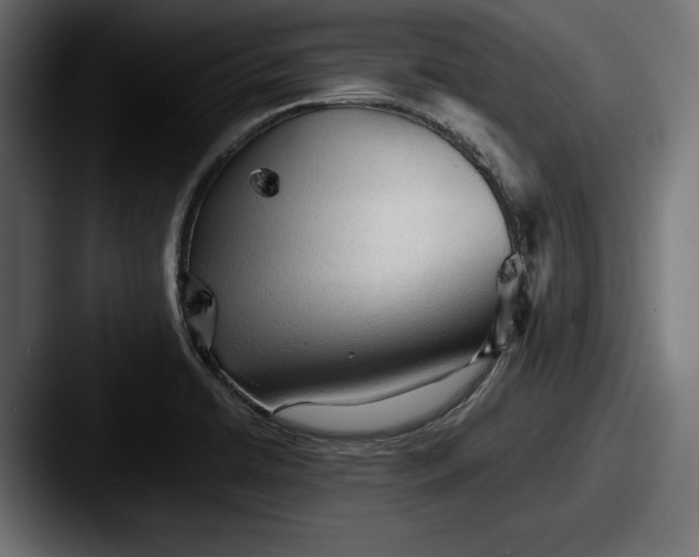 X0000087511422200705180946