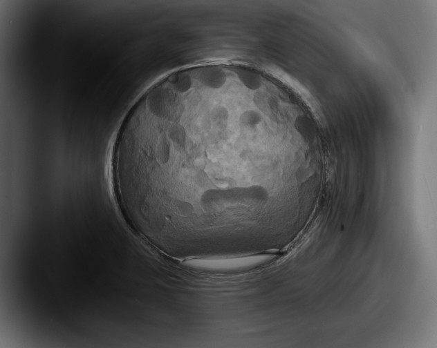 X0000087511423200705180946