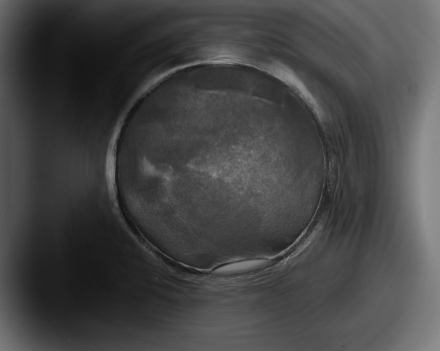 X0000087511424200705180946