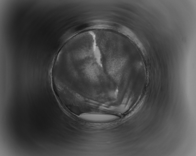 X0000087511425200705180946