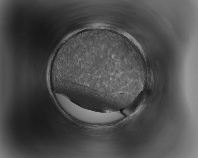 X0000087511429200705180946