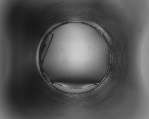X0000087511432200705180946