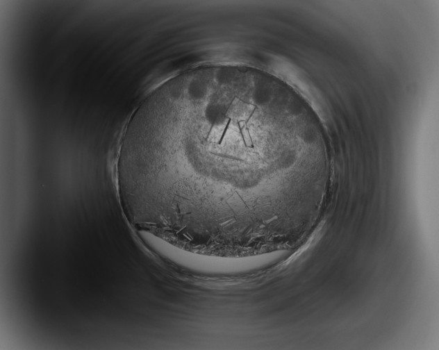 X0000087511433200705180946