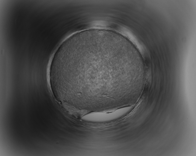 X0000087511435200705180946