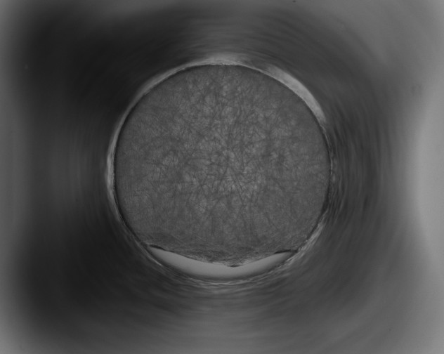 X0000087511436200705180946