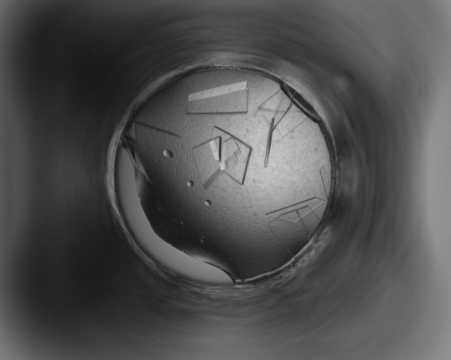 X0000087511437200705180946