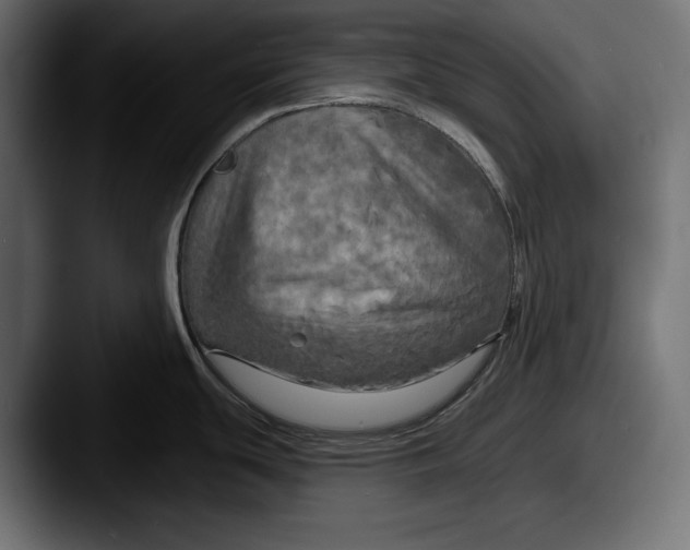 X0000087511439200705180946