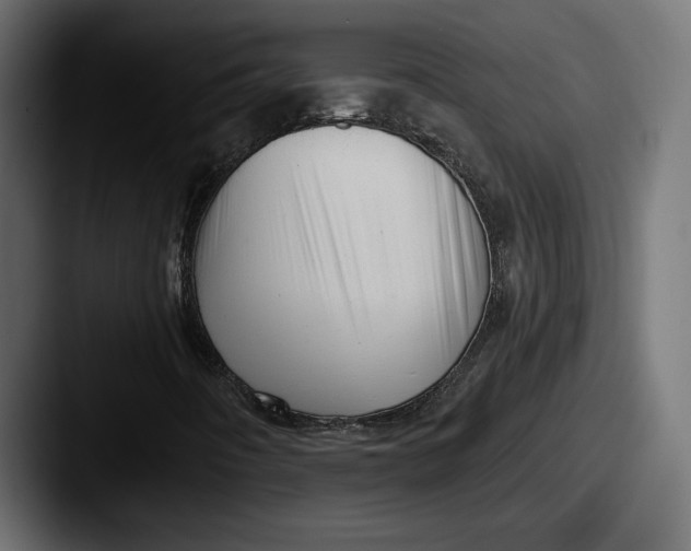 X0000087511442200705180946