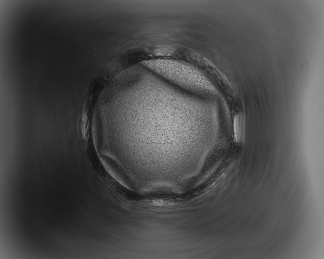 X0000087511443200705180946