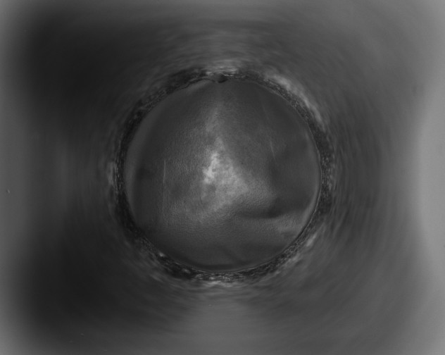 X0000087511445200705180946