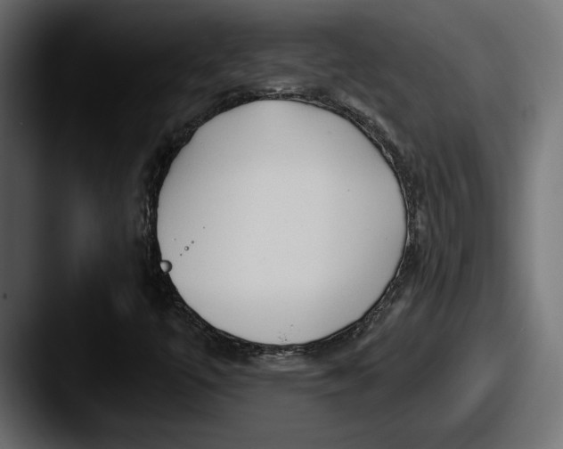 X0000087511447200705180946