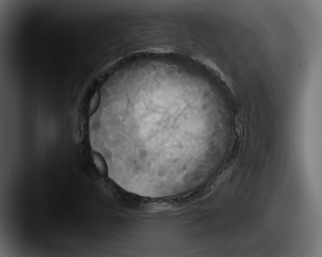 X0000087511448200705180946