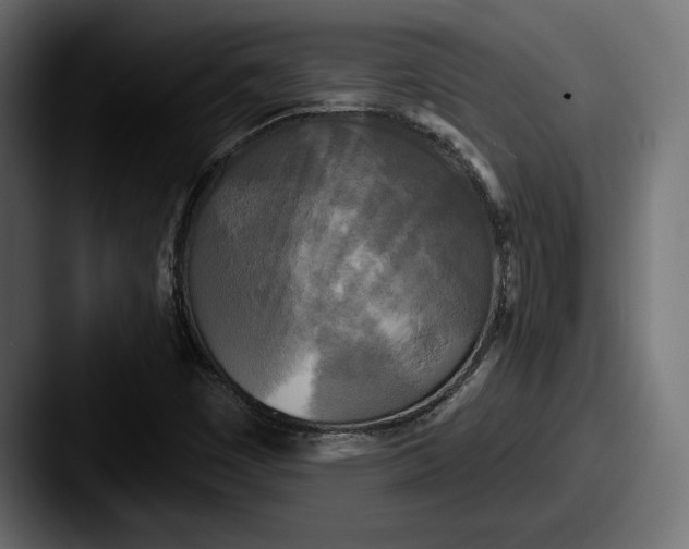 X0000087511449200705180946