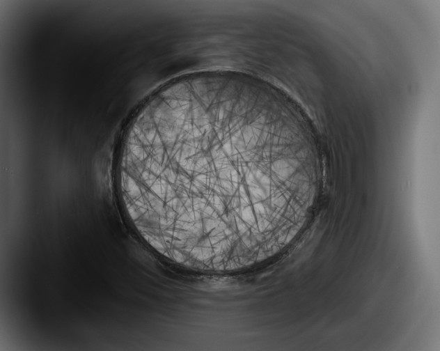 X0000087511452200705180946