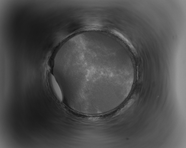 X0000087511453200705180946