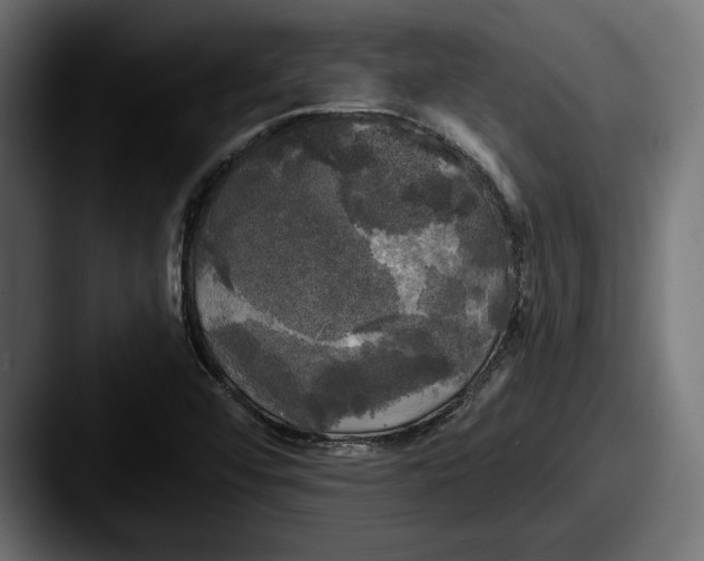 X0000087511456200705180946