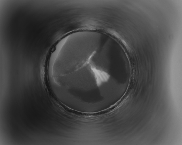 X0000087511459200705180946