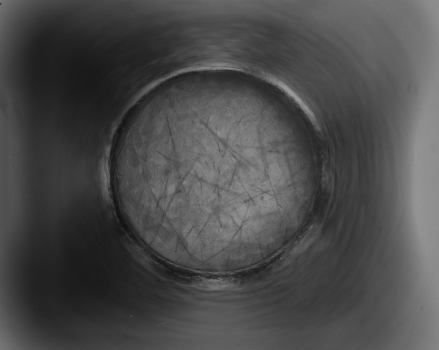 X0000087511460200705180946