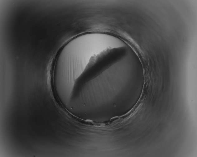 X0000087511463200705180946