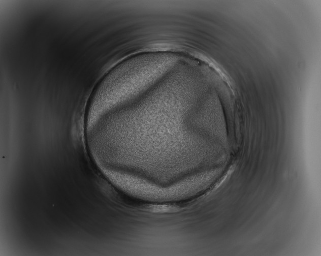 X0000087511465200705180946