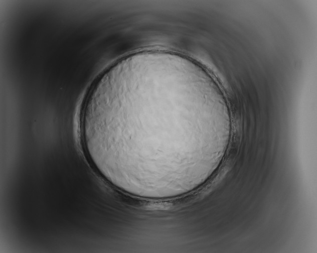 X0000087511466200705180946