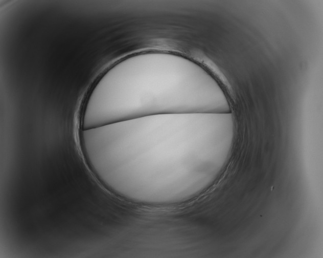 X0000087511468200705180945