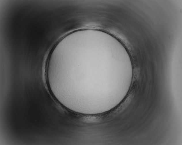 X0000087511470200705180945