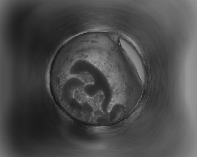 X0000087511471200705180945