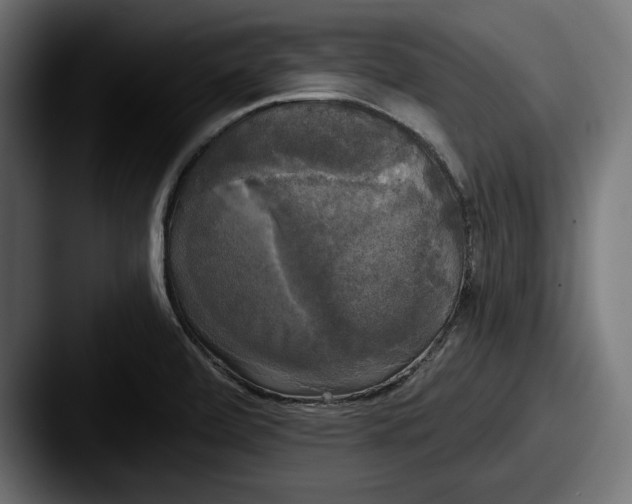X0000087511472200705180945