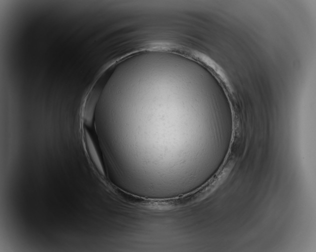 X0000087511473200705180945