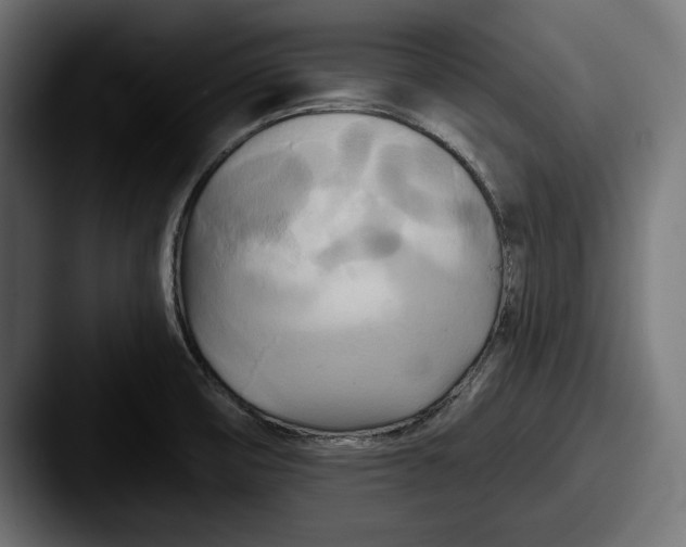 X0000087511474200705180945