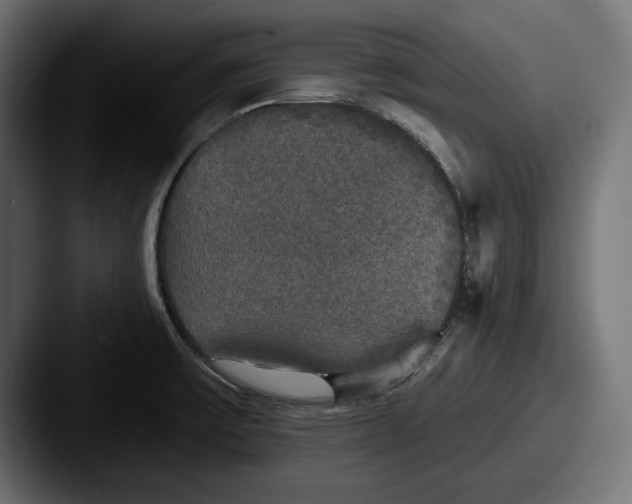 X0000087511475200705180945
