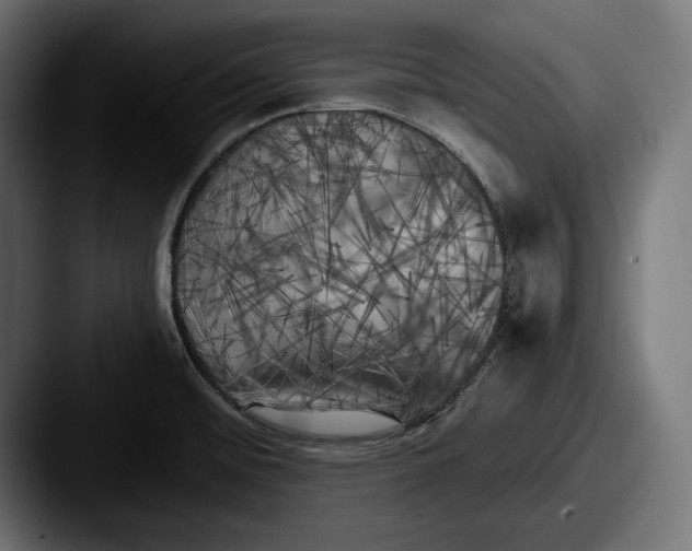 X0000087511476200705180945
