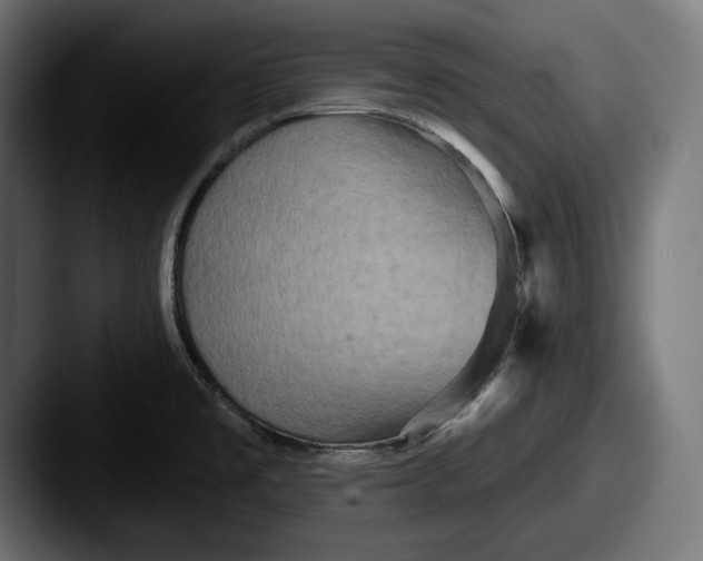 X0000087511477200705180945
