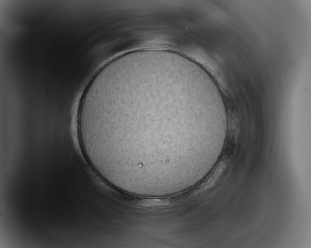 X0000087511478200705180945