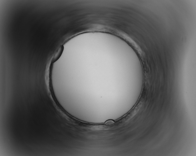 X0000087511479200705180945