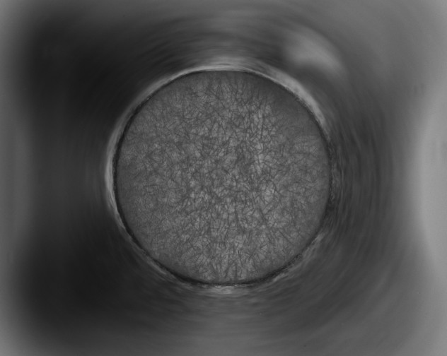 X0000087511480200705180945
