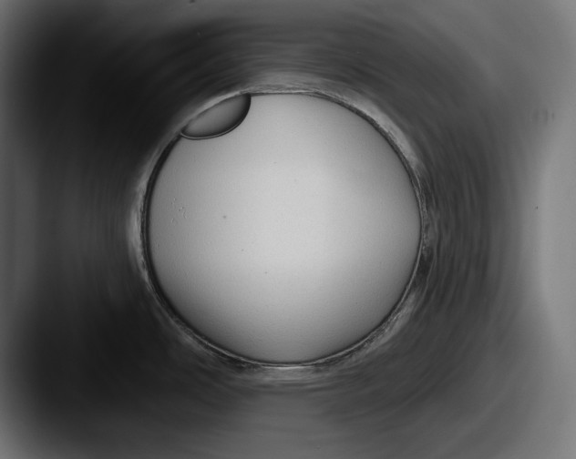 X0000087511486200705180945