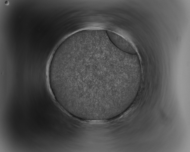 X0000087511488200705180945