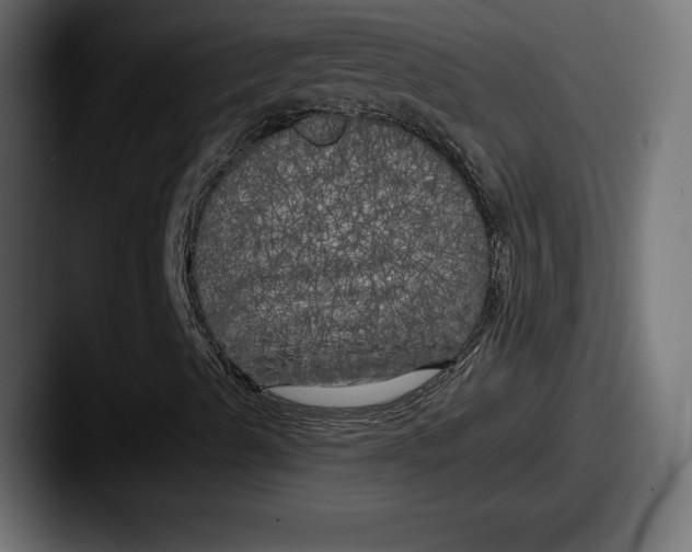 X0000087511489200705180945