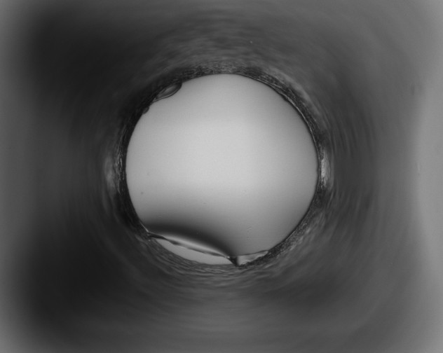 X0000087511492200705180945