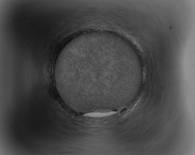 X0000087511494200705180945