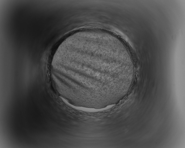X0000087511496200705180945