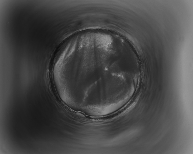 X0000087511497200705180945