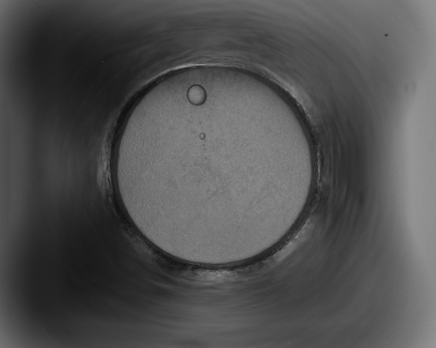 X0000087511498200705180945
