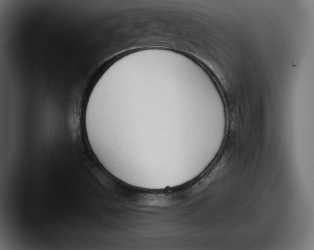 X0000087511499200705180945